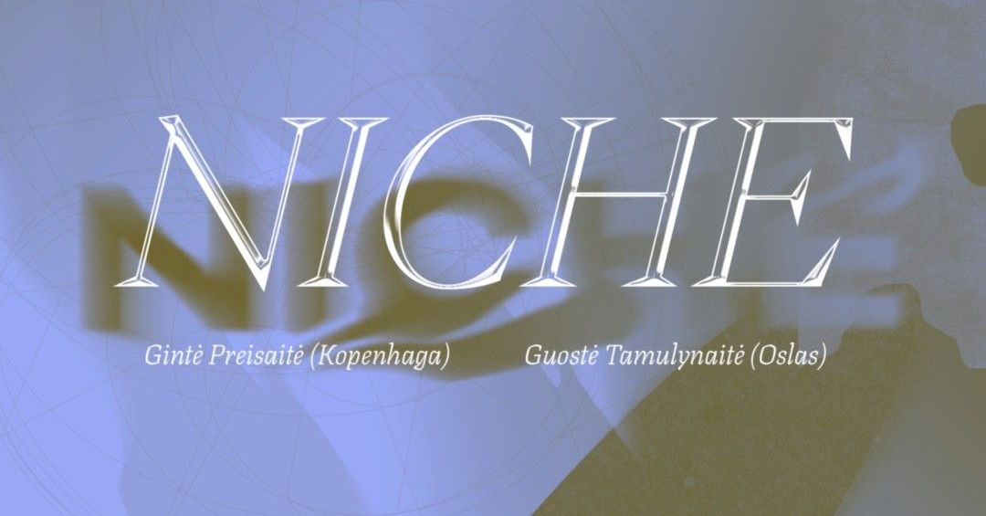 NICHE koncertų ciklo plakatas