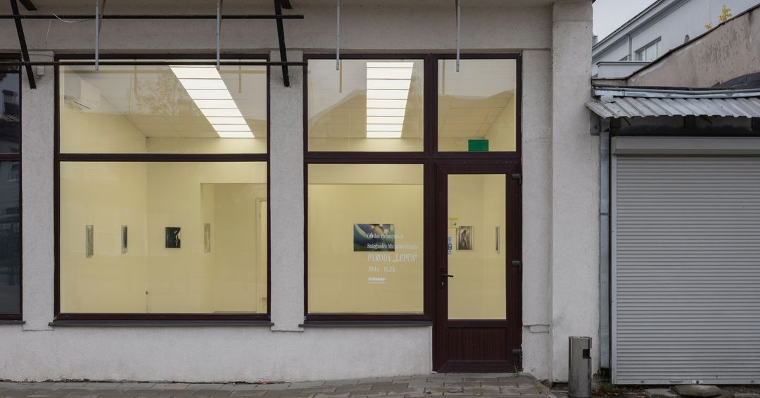 Nepadorūs vakarai | BMW | Ekskursija po parodą „Lepus“ | Kauno menininkų namai 