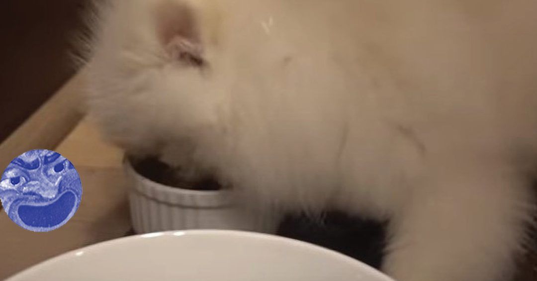 KMN rezidencijos | Geri dalykai nutinka, kai palieku namus