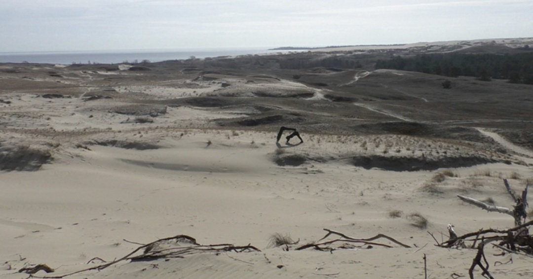 Liza Baliasnaja (LT/BE) ir Sidney Barnes (UK/BE)