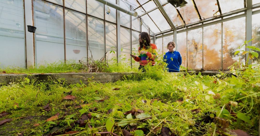 Pokalbis apie projektą "Bendrakūryba"